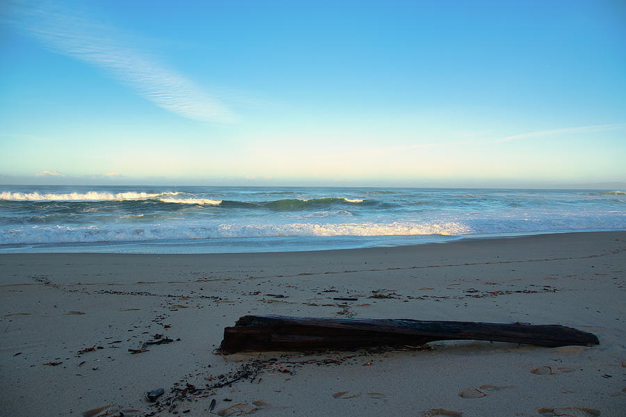 Driftwood on the Beach at Sunrise Photograph by Matthew DeGrushe