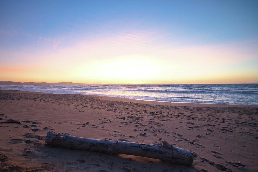 Driftwood on the Beach at Sunset Photograph by Matthew DeGrushe