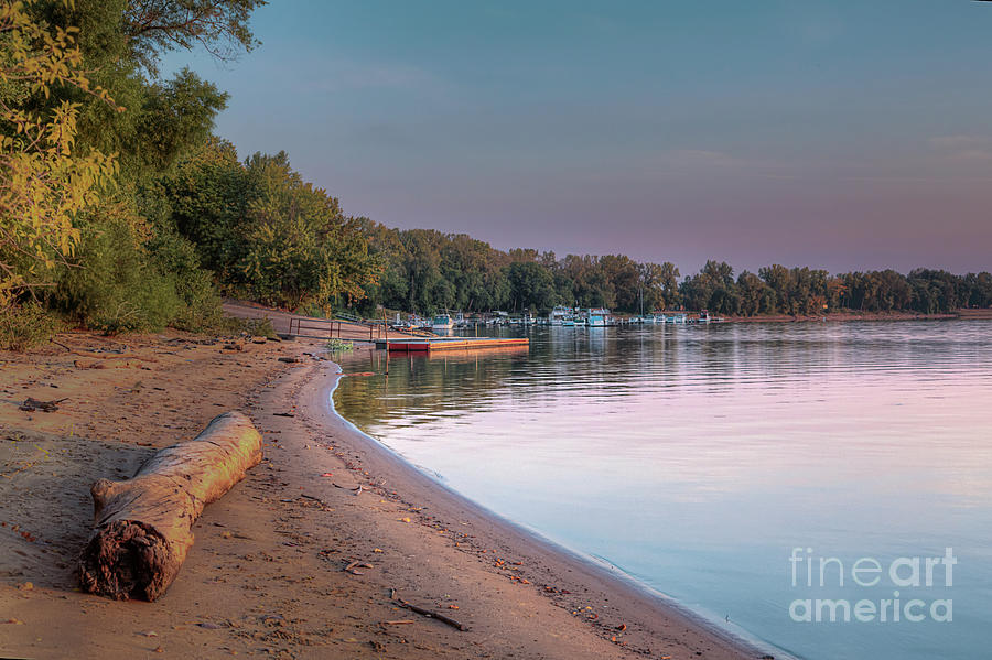 Driftwood on the Ohio River Shoreline Photograph by Larry Braun - Fine ...