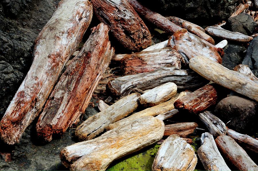 Driftwood Pattern Photograph by Jerry Sodorff