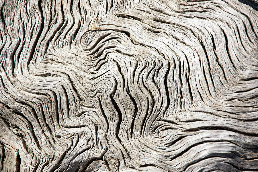 Driftwood Patterns I Photograph by Rebecca Herranen