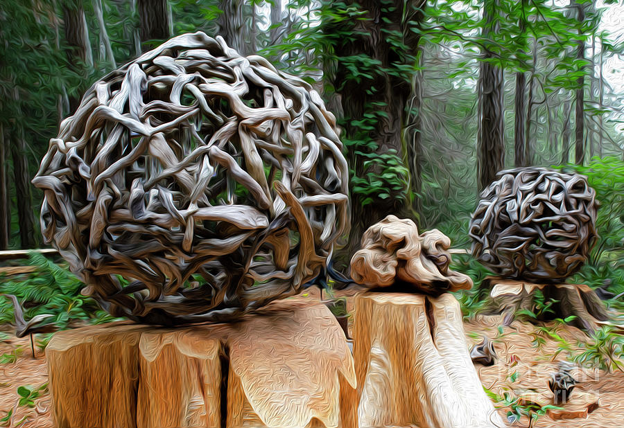 Driftwood Sculpture Photograph by Bob Christopher