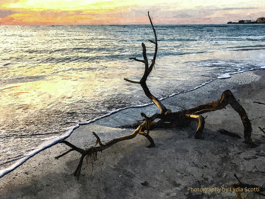 Driftwood Sunset Oil-1 Photograph by Susan Molnar