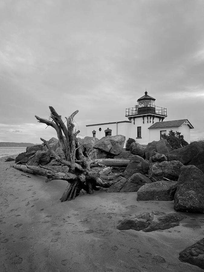 Driftwood Tree and Lighthouse Photograph by Jerry Abbott