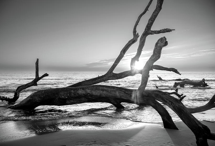 Driftwood Waves And Sunrise In Black and White Photograph by Chrystal Mimbs