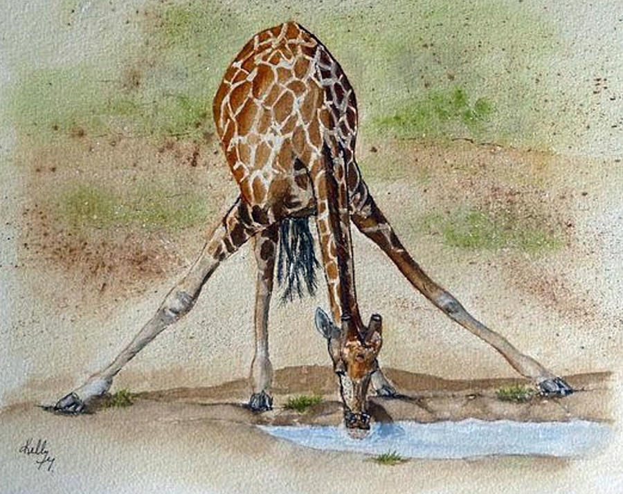 Drinking Giraffe Painting by Kelly Mills