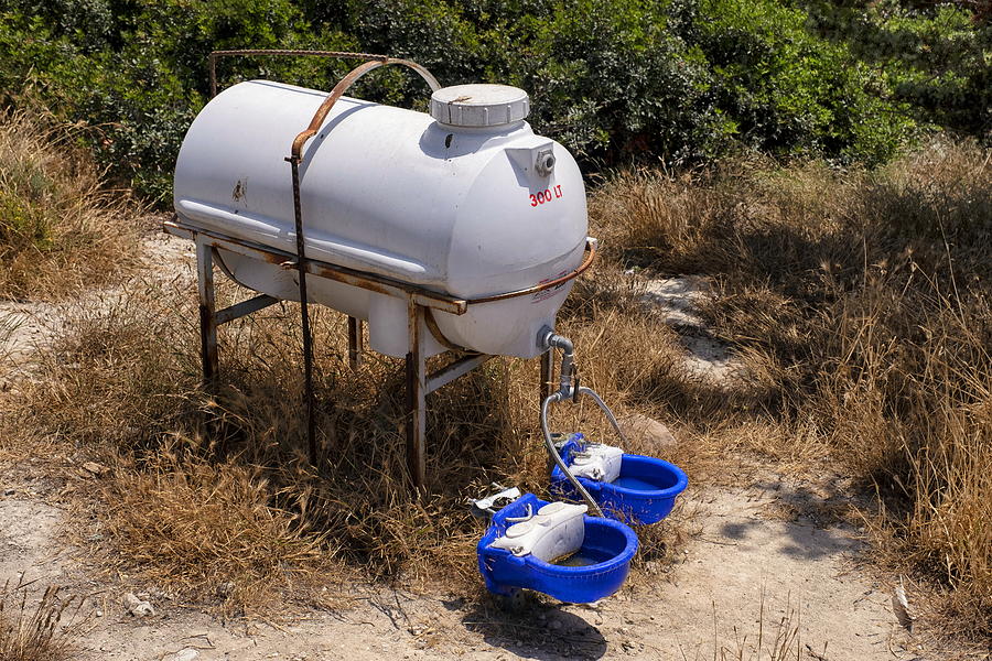Drinking water tank for street animals in Cesme. Photograph by Emreturanphoto