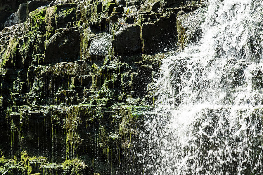Dripping Moss and Sunny Splashes - Albion Falls Hamilton Ontario Canada Photograph by Georgia Mizuleva
