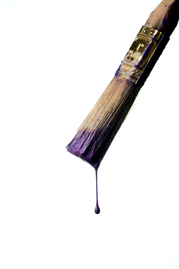 Dripping purple paint brush, close up Photograph by ICT_Photo