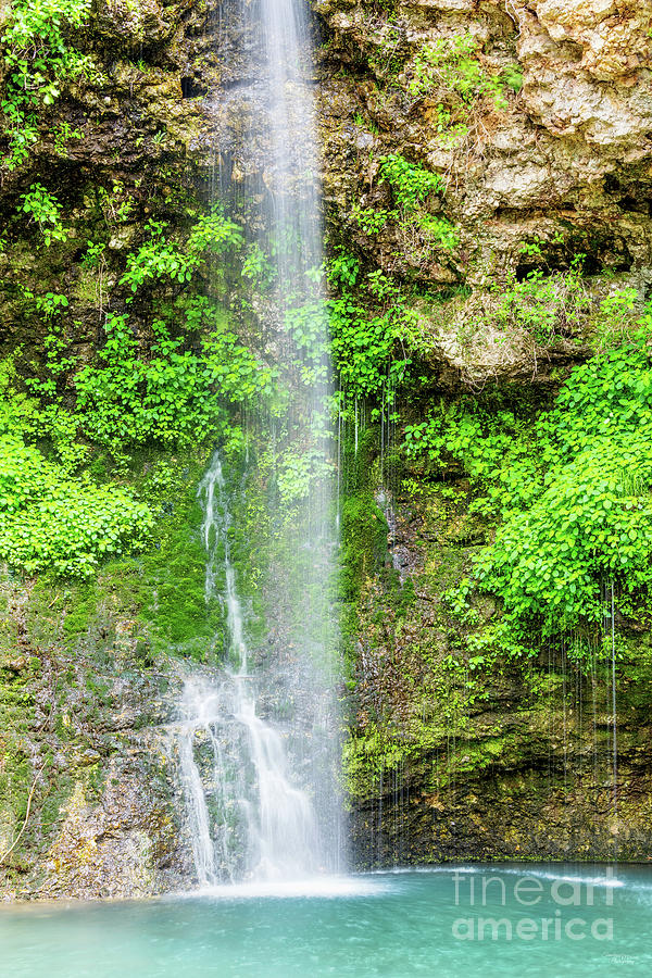 Dripping Springs Falls Bottom Photograph by Jennifer White