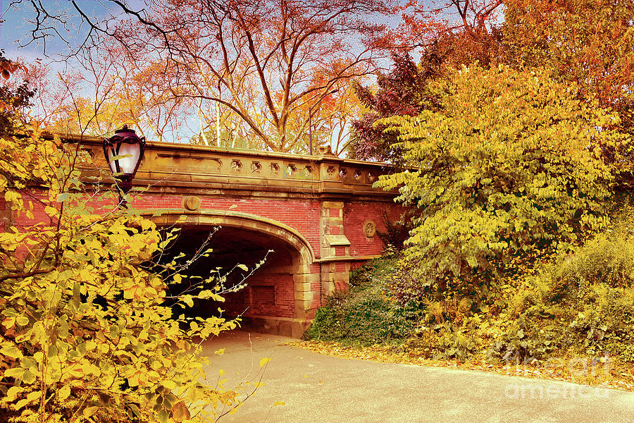 Driprock Arch Central Park Autumn View Photograph