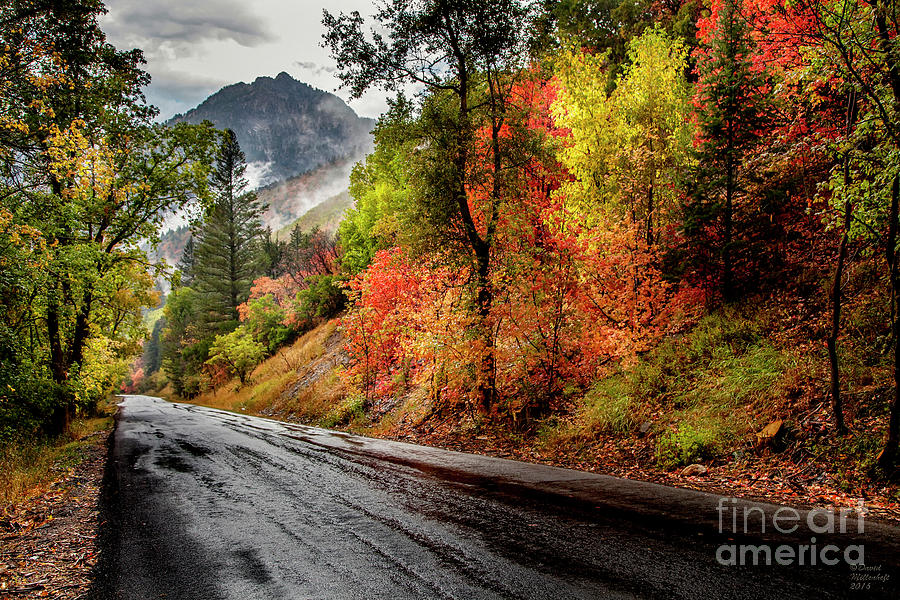 Drive into Fall Photograph by David Millenheft