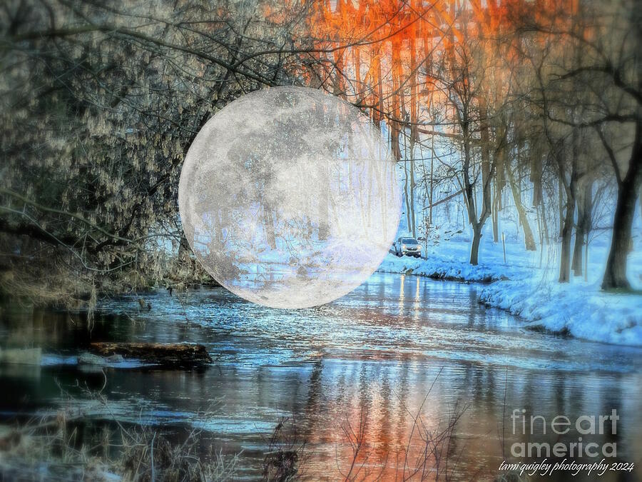 Frank Sinatra Photograph - Drive Me To The Moon by Tami Quigley