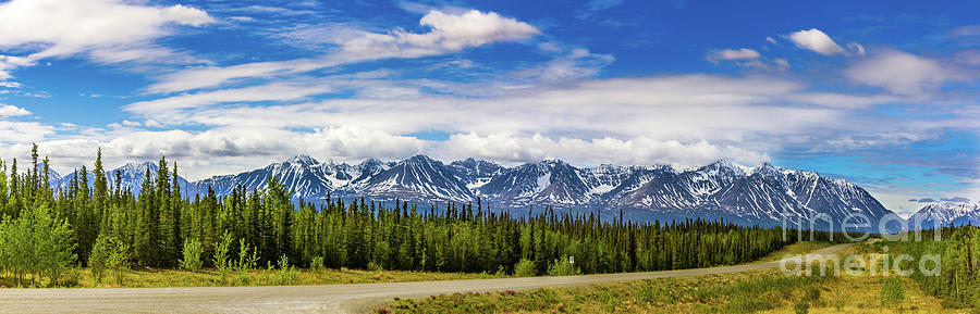 Driving  Alaskan Highway Photograph by Robert Bales