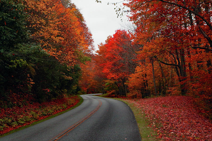 Driving on the Blue Ridge Pkwy. Photograph by Dennis Baswell