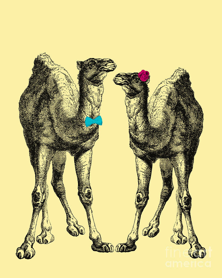 Camel Mixed Media - Dromedaries in love by Madame Memento