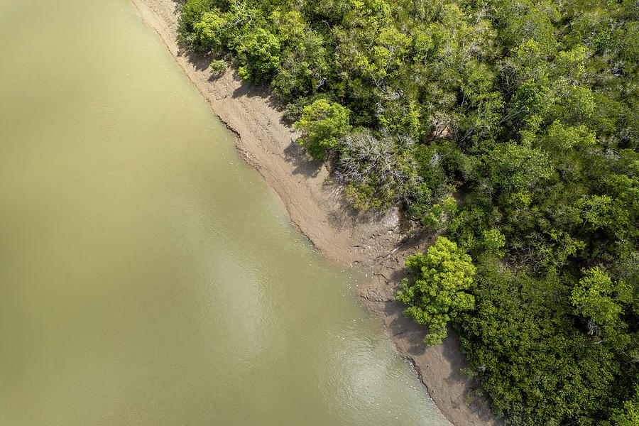 Drone Aerial Muddy Coastal Creek Amongst Bushland Photograph By Michele 