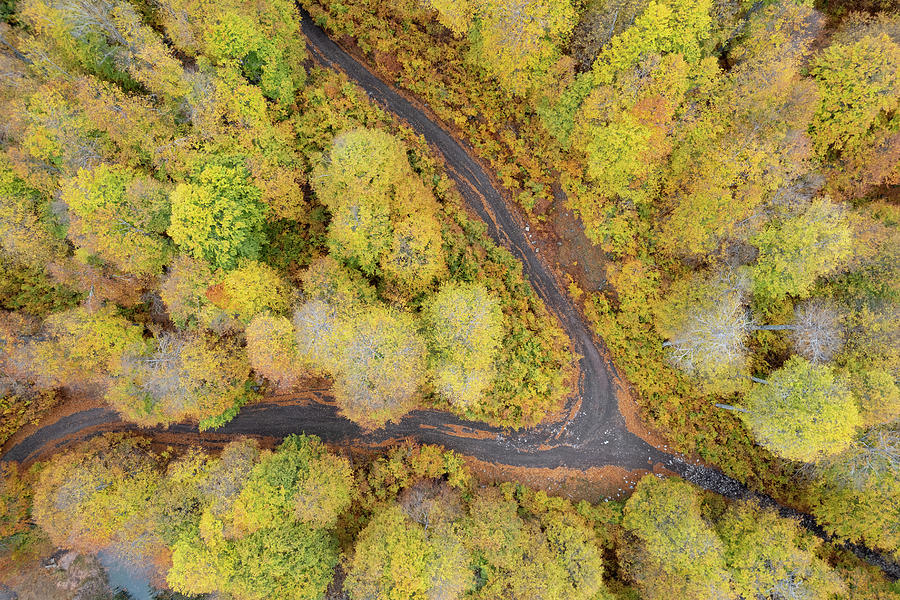 Drone aerial of autumn forest road. Fall season scenery Photograph by Michalakis Ppalis