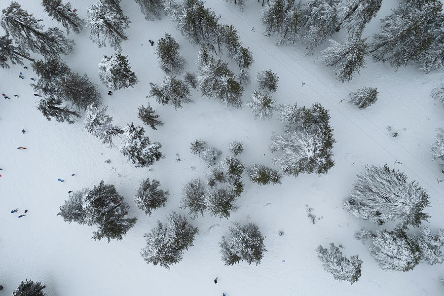 Drone aerial scenery of mountain snowy forest and people playing in snow. Wintertime season Photograph by Michalakis Ppalis