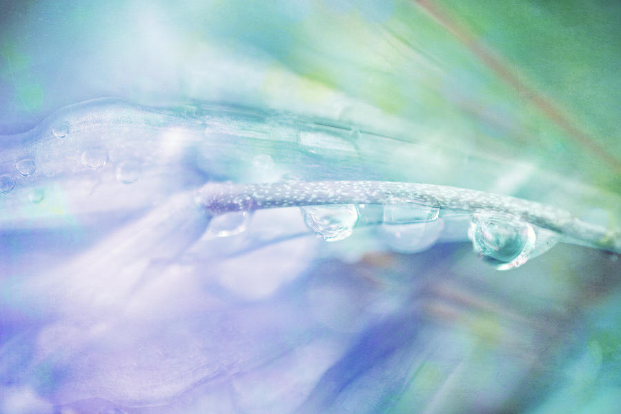 Droplet Beauty Digital Art by Terry Davis