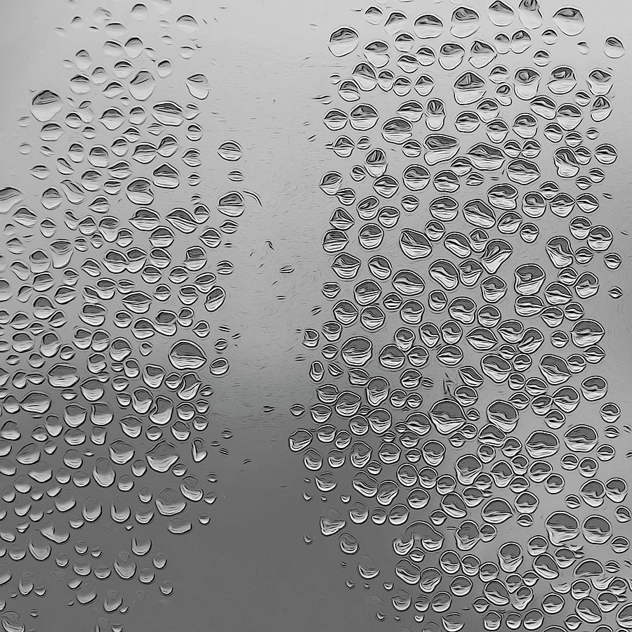 Droplets In Black and White Photograph by Cathy Kovarik - Pixels