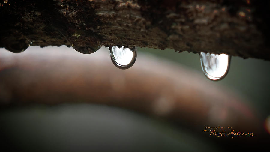 Droplets in Winter Photograph by Mick Anderson