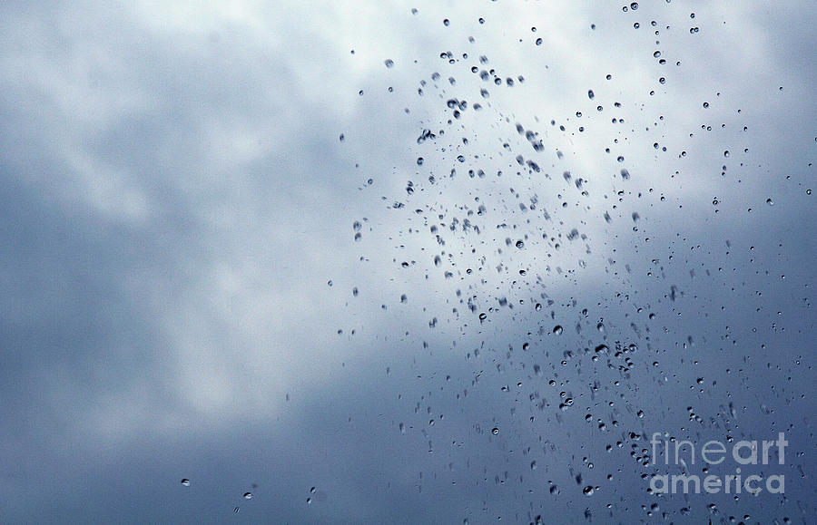 Abstract Photograph - Droplets by Nicki Hoffman Abstract Photograph - Droplets by Nicki Hoffman