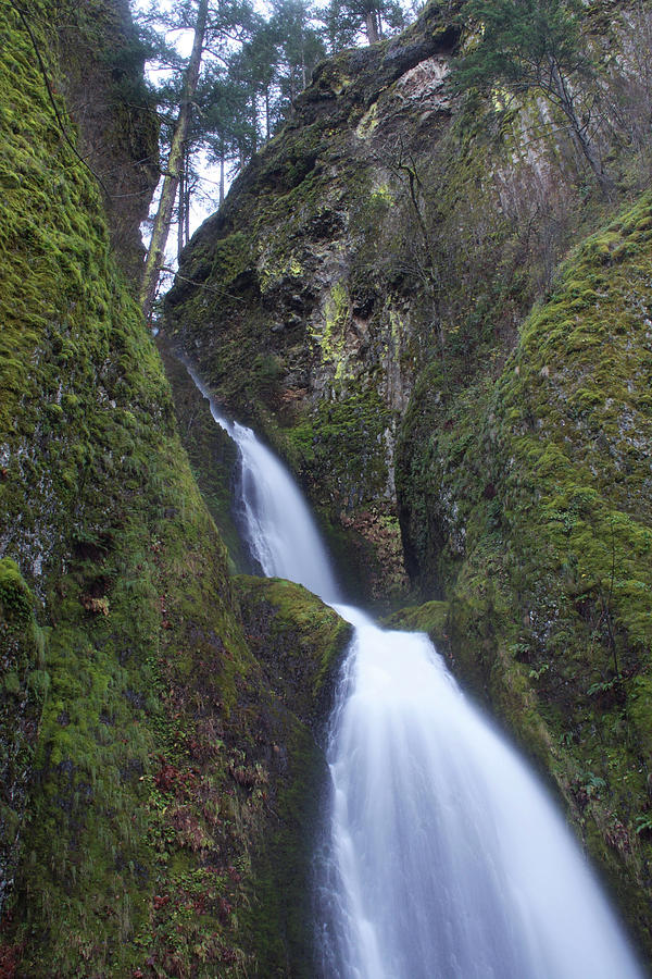 Dropping Wahkeena Photograph by Dylan Punke