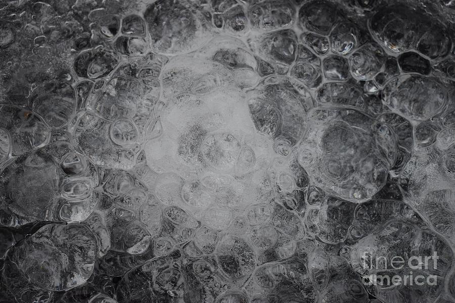 Drops Of Ice Photograph by Stefania Caracciolo