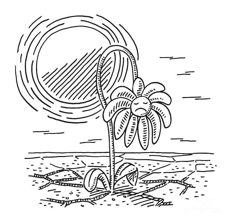 Drought Climate Withering Flower Drawing Drawing by Frank Ramspott ...