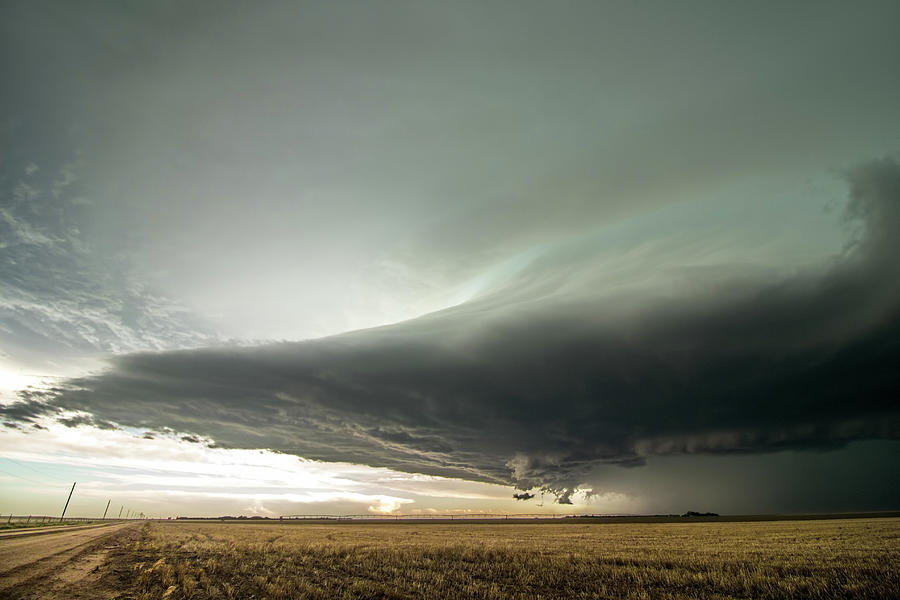 Drought Killer Photograph by Dan Ross - Fine Art America