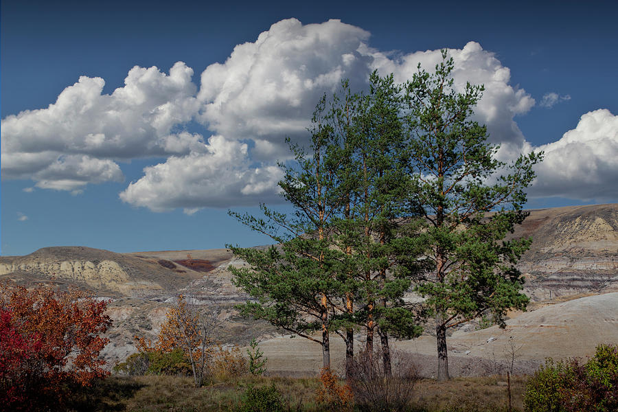 Drumheller Canadian Landscape Photograph by Randall Nyhof