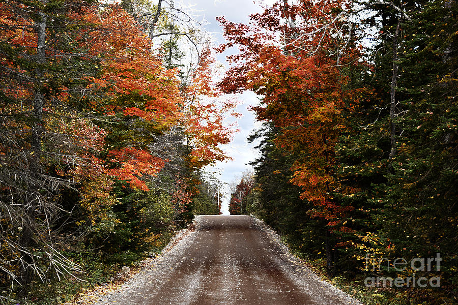 Drummond Island Country Road Photograph