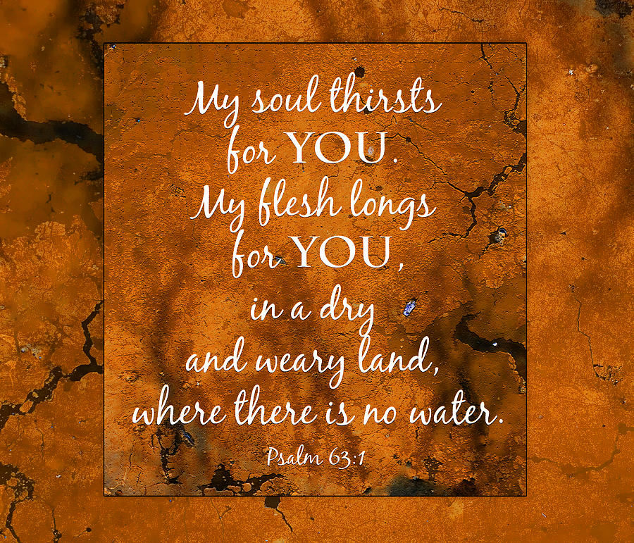 Dry and weary land Scripture Photograph by Denise Beverly