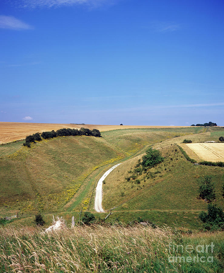 Dry chalk valley near Thixendale Yorkshire Wolds East Yorkshire England ...