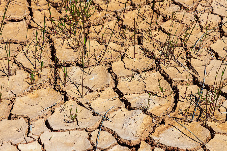 Dry Cracked Land - Western Australia Photograph by Robbie Goodall
