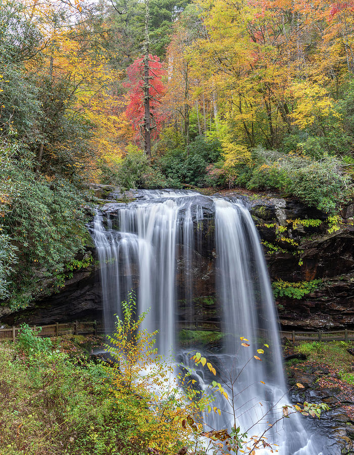 Dry Falls Fall Colors Photograph by David R Robinson