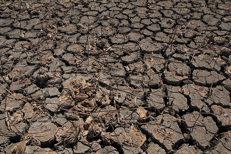 Dry Ground Texture, Drought, the ground cracks, no hot water Photograph by Peeravit18