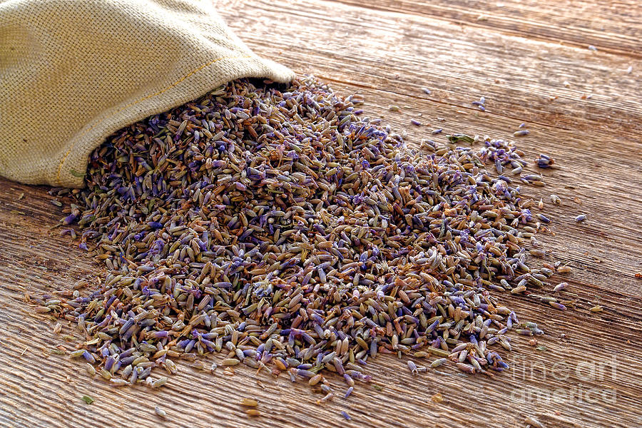 Dry Lavender Seeds and Burlap Bag over Old Wood Photograph by Olivier Le Queinec