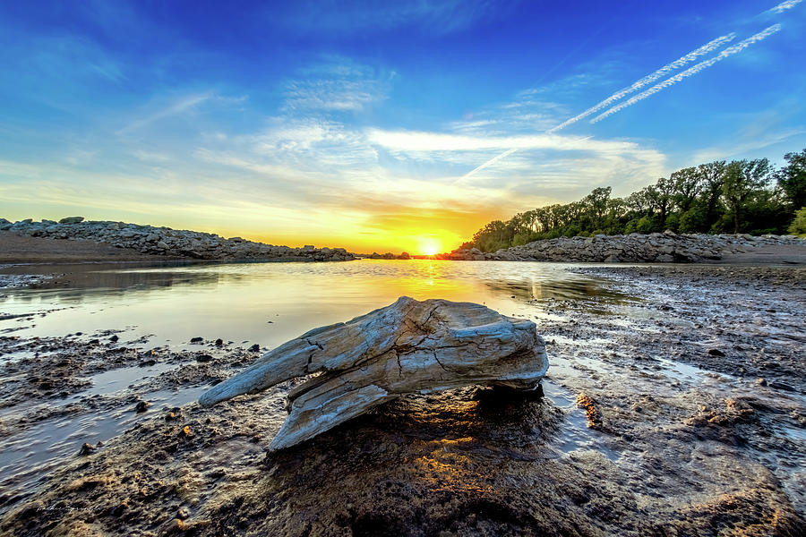 Dry Mississippi at dawn Photograph by Mackie Springer - Fine Art America