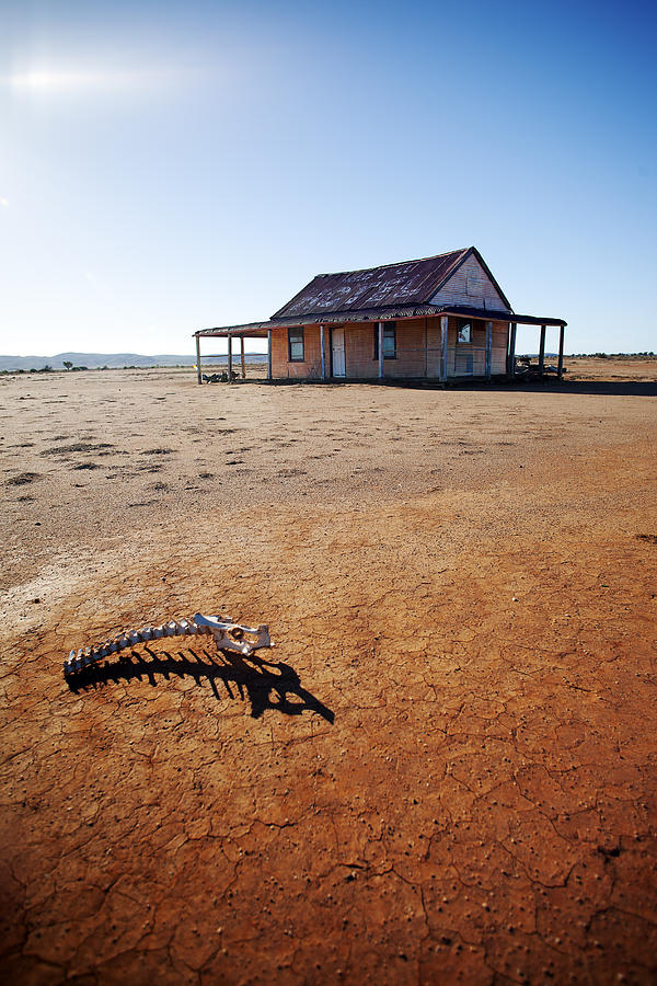 Dry Outback Shed Photograph by David Trood