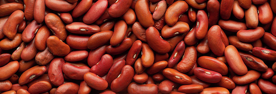Dry Red Kidney Beans Panorama Photograph