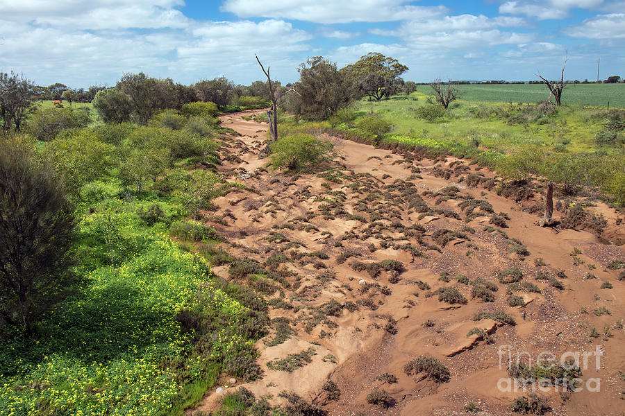 Dry River Bed, Mingenew, Western Australia Photograph by Elaine Teague