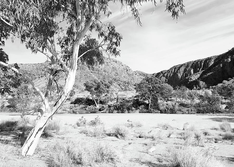 Dry Riverbed of Ormiston Gorge - BW Photograph by Lexa Harpell
