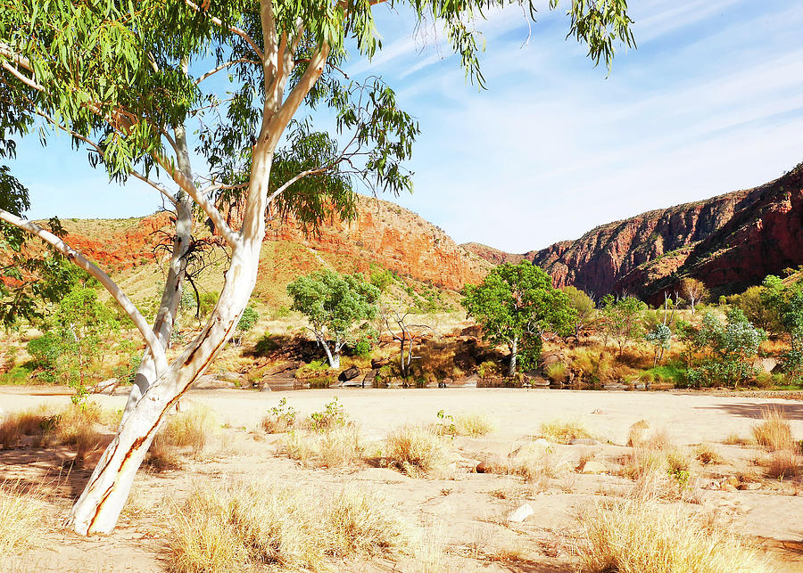 Dry Riverbed - Ormiston Gorge Photograph by Lexa Harpell