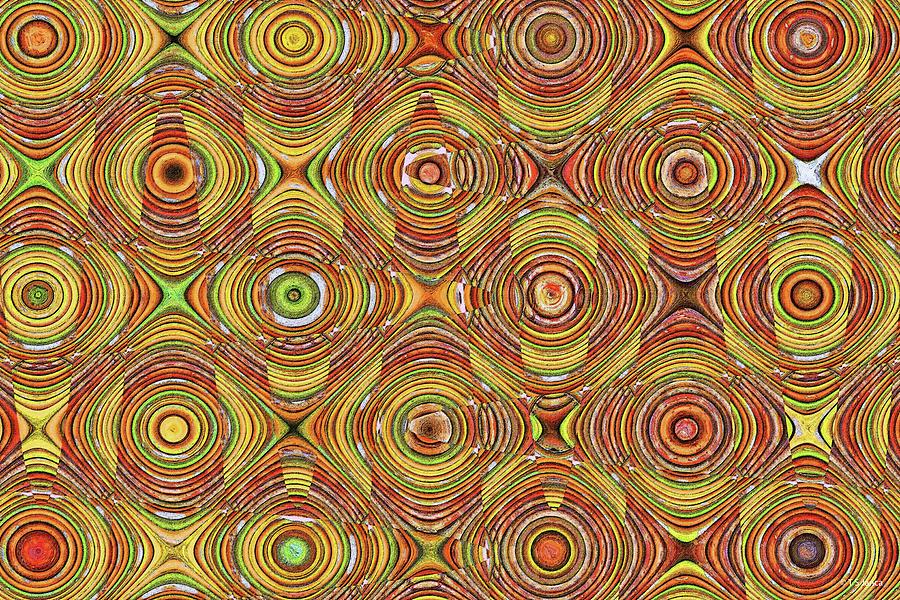 Dry Sticks Abstract 4557 Digital Art by Tom Janca