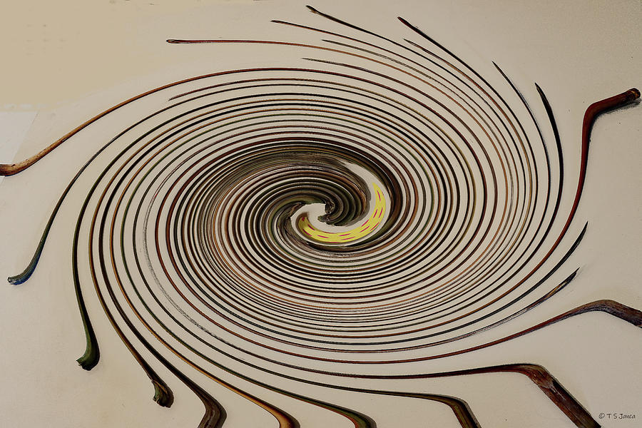 Dry Sticks Abstract #4600ps3b Digital Art by Tom Janca