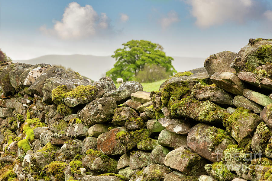 Dry Stone Wall Close Up, Yorkshure Dales, UK Photograph by Colin and Linda McKie