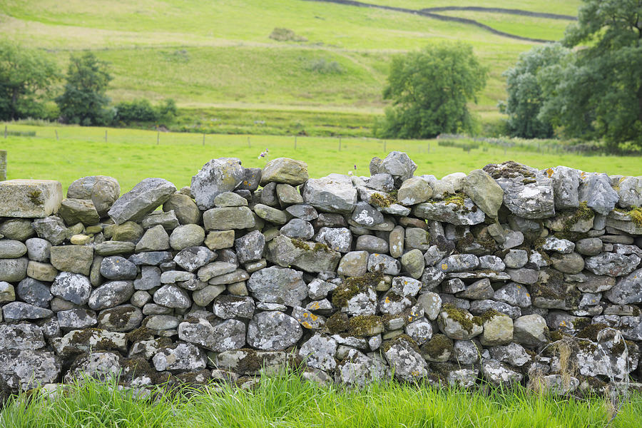Dry Stone Wall in Yorkshire Dales Photograph by Ekspansio