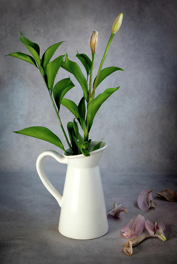 Dry wilted tulip flowers and green plants on a white vase and leaves on a grey vintage background. Photograph by Michalakis Ppalis